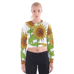Sunflowers Flower Bloom Nature Women s Cropped Sweatshirt by Simbadda