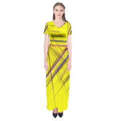 Fractal Color Parallel Lines On Gold Background Short Sleeve Maxi Dress by Nexatart