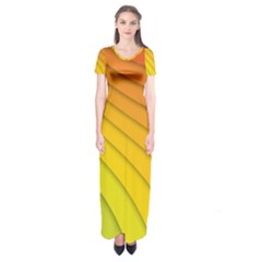Abstract Pattern Lines Wave Short Sleeve Maxi Dress by Nexatart