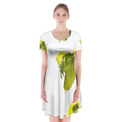Leaves Nature Short Sleeve V-neck Flare Dress by Nexatart