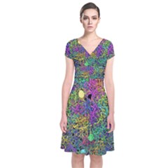 Starbursts Biploar Spring Colors Nature Short Sleeve Front Wrap Dress by BangZart