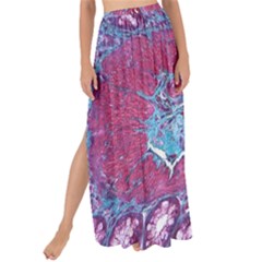 Natural Stone Red Blue Space Explore Medical Illustration Alternative Maxi Chiffon Tie-up Sarong by Mariart