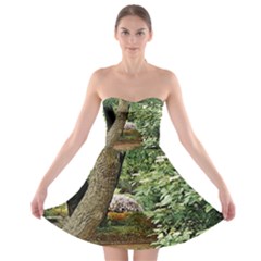 Garden Of The Phoenix  Strapless Bra Top Dress by Riverwoman
