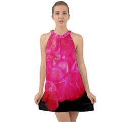 Single Geranium Blossom Halter Tie Back Chiffon Dress by okhismakingart