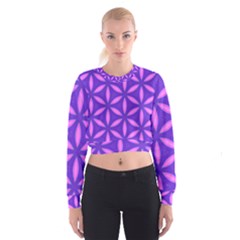 Purple Cropped Sweatshirt by HermanTelo