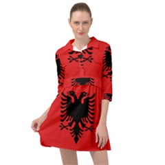 Albania Flag Mini Skater Shirt Dress by FlagGallery