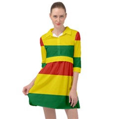 Bolivia Flag Mini Skater Shirt Dress by FlagGallery
