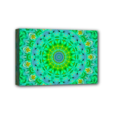 Greenspring Mini Canvas 6  X 4  (stretched) by LW323