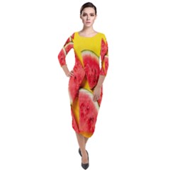 Watermelon Quarter Sleeve Midi Velour Bodycon Dress by artworkshop