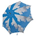 Cloudy Hook Handle Umbrellas (Large) View2