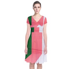 Green Pink Interior Paint Short Sleeve Front Wrap Dress by artworkshop
