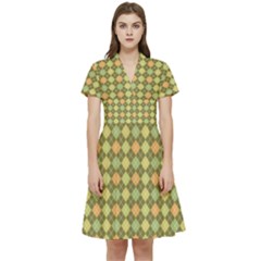 Pattern 251 Short Sleeve Waist Detail Dress by GardenOfOphir