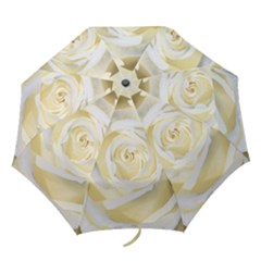 White Roses Flowers Plant Romance Blossom Bloom Nature Flora Petals Folding Umbrellas by pakminggu