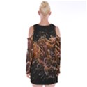 Sea Anemone Coral Underwater Ocean Sea Water Velvet Long Sleeve Shoulder Cutout Dress View2