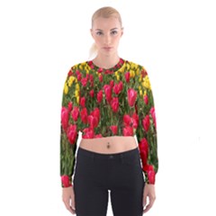 Yellow Pink Red Flowers Cropped Sweatshirt by artworkshop