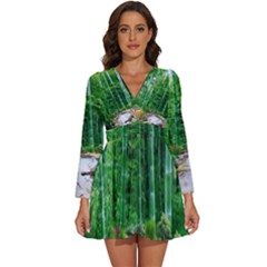 Bamboo Forest Squid Family Long Sleeve V-neck Chiffon Dress  by Grandong
