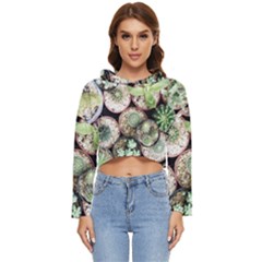 Cactus Nature Plant Desert Women s Lightweight Cropped Hoodie by Bedest
