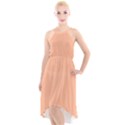 Peach Fuzz 2024 High-Low Halter Chiffon Dress  View1