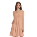 Peach Fuzz 2024 Long Sleeve Knee Length Skater Dress With Pockets View1