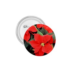 Poinsettia 1 75  Buttons by trendistuff