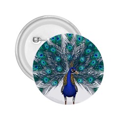 Peacock Bird Peacock Feathers 2 25  Buttons by Sapixe