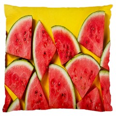 Watermelon Large Cushion Case (one Side) by artworkshop
