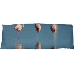 Flamingo Birds Plumage Sea Water Animal Exotic Body Pillow Case Dakimakura (two Sides) by artworkshop