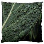 Leaves Water Drops Green  Standard Flano Cushion Case (Two Sides) Back