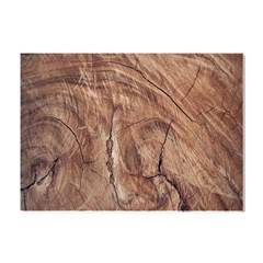 Brown Close Up Hd Wallpaper Surface Crystal Sticker (a4) by artworkshop