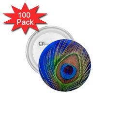 Blue Peacock Feather 1 75  Buttons (100 Pack)  by Amaryn4rt